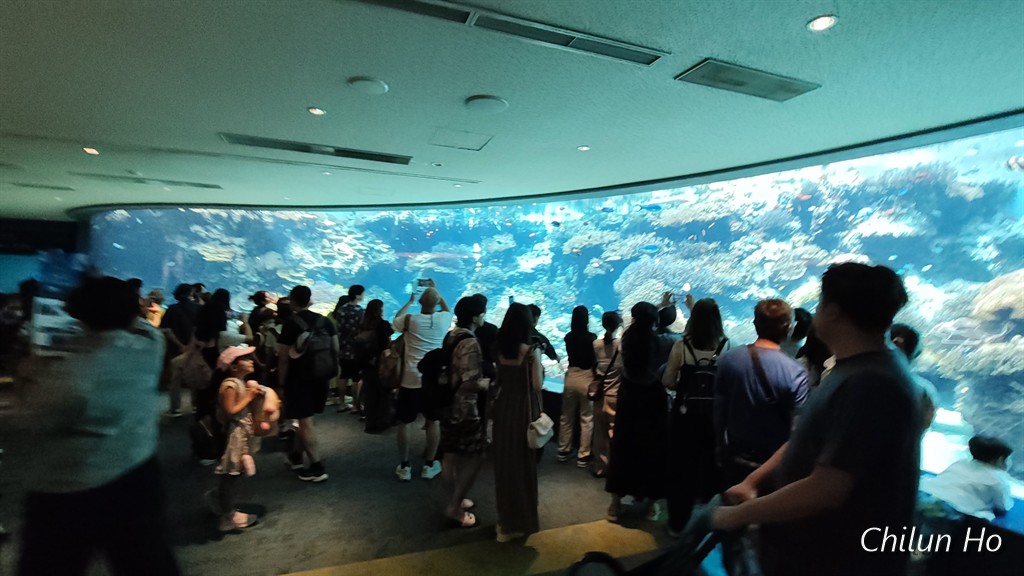 沖縄美ら海水族館